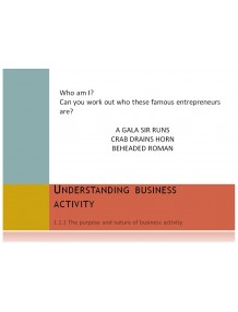 Cambridge iGCSE Business Studies Topic 1 Understanding Business Activity Multimedia